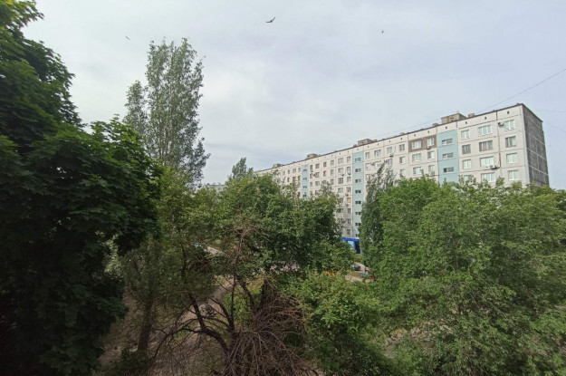 Гая, 2
