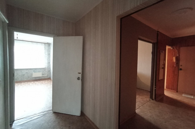 Мира 101